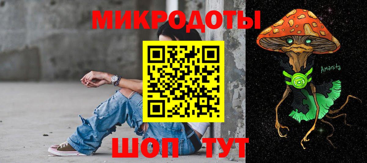 Галлюциногенные грибы Psilocybine cubensis Урай